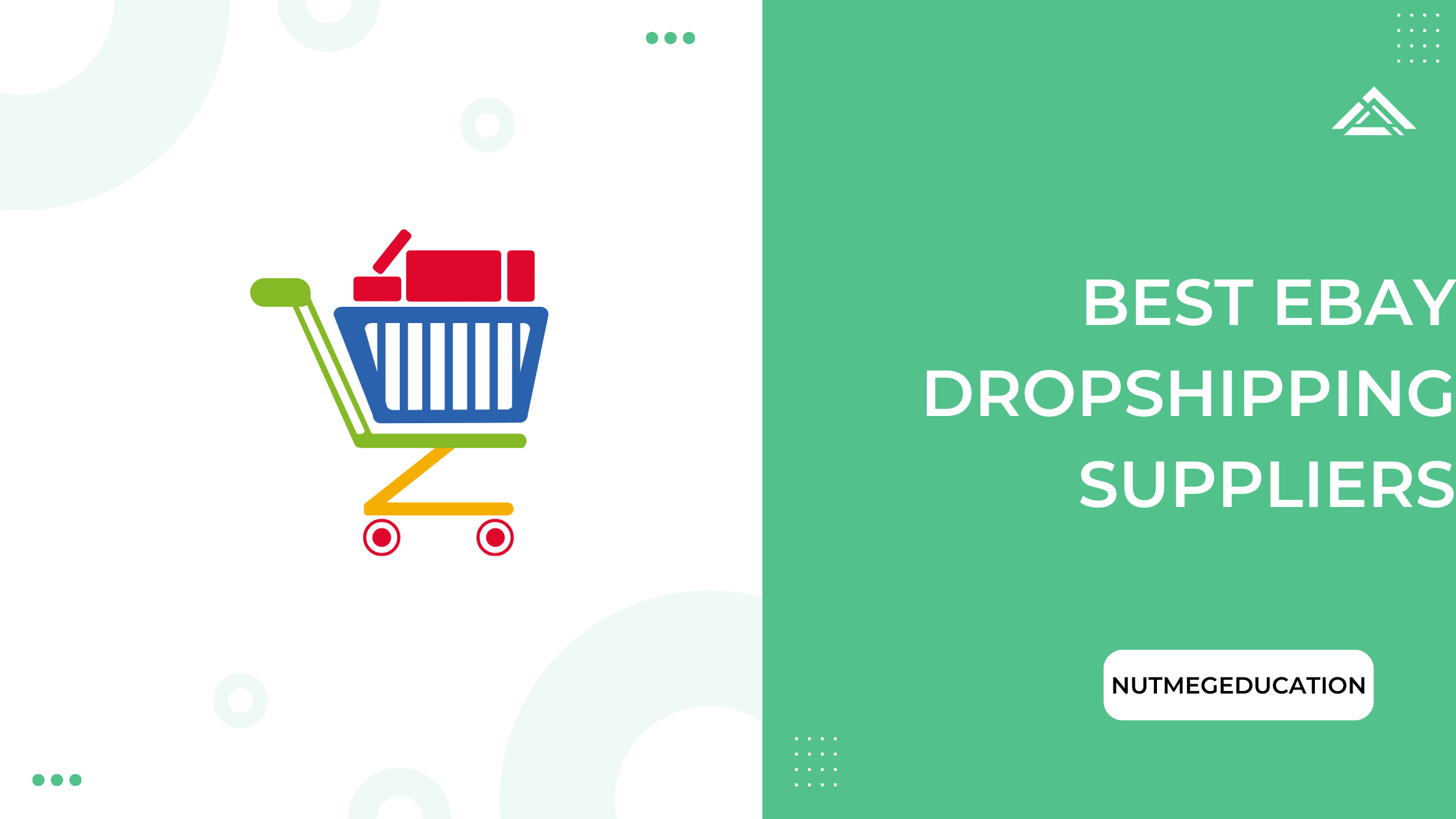 Best eBay Dropshipping Suppliers - GrowthDevil