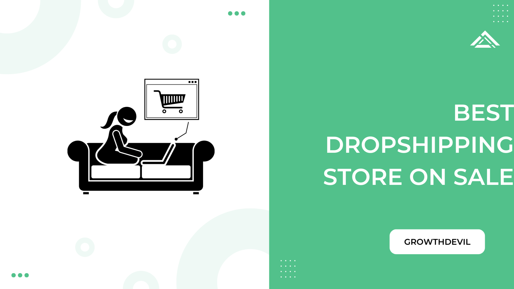 12 Best Dropshipping Stores For Sale In 2024 (Top Picks)