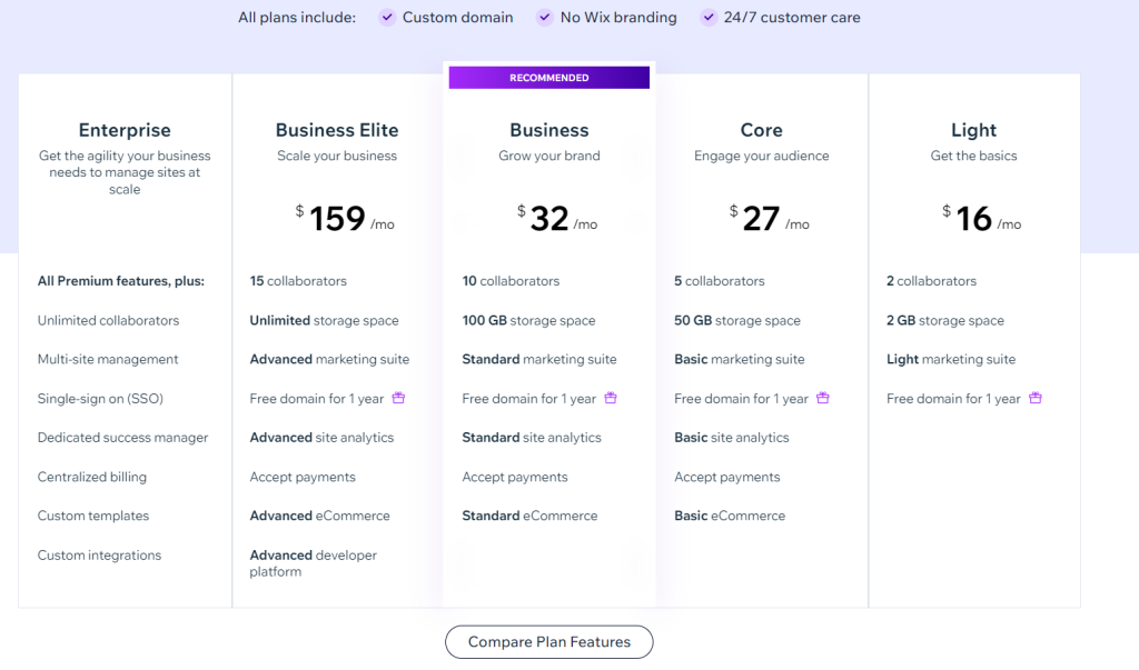 Wix Pricing Options