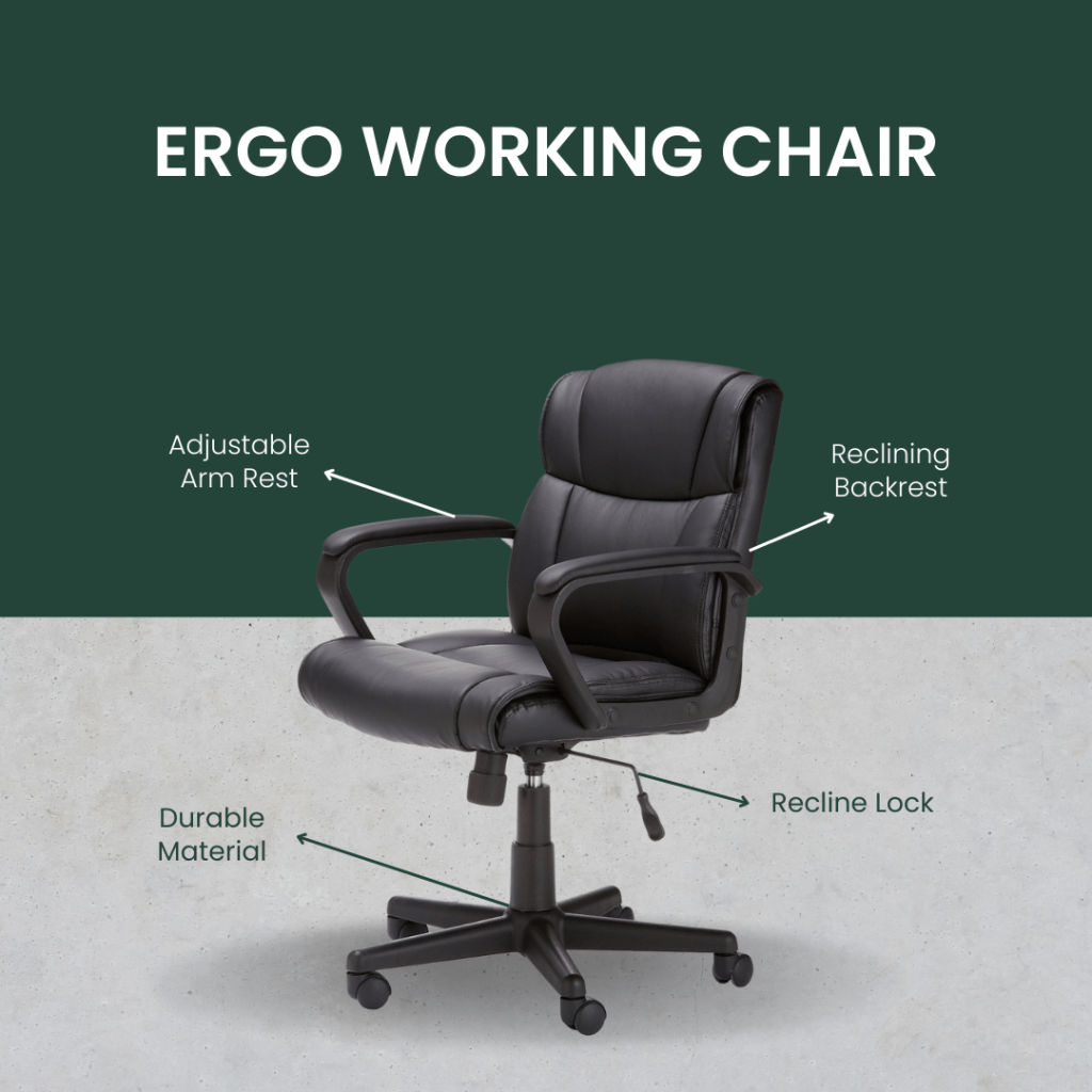 Egonomic Chair